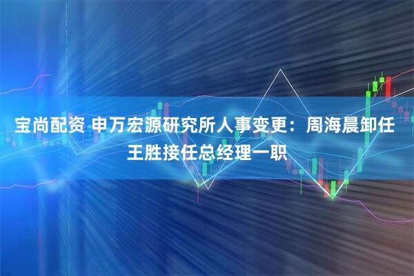 宝尚配资 申万宏源研究所人事变更：周海晨卸任 王胜接任总经理一职