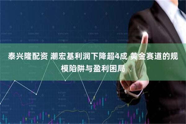 泰兴隆配资 潮宏基利润下降超4成 黄金赛道的规模陷阱与盈利困局