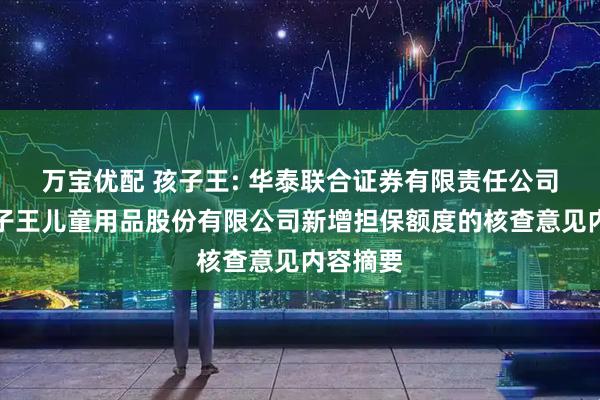 万宝优配 孩子王: 华泰联合证券有限责任公司关于孩子王儿童用品股份有限公司新增担保额度的核查意见内容摘要
