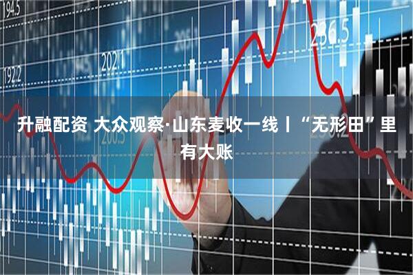 升融配资 大众观察·山东麦收一线丨“无形田”里有大账