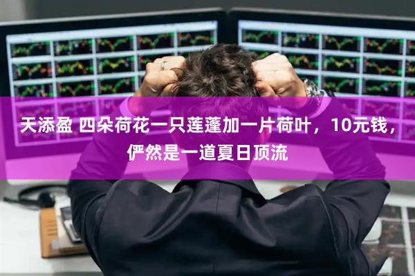 天添盈 四朵荷花一只莲蓬加一片荷叶，10元钱，俨然是一道夏日顶流