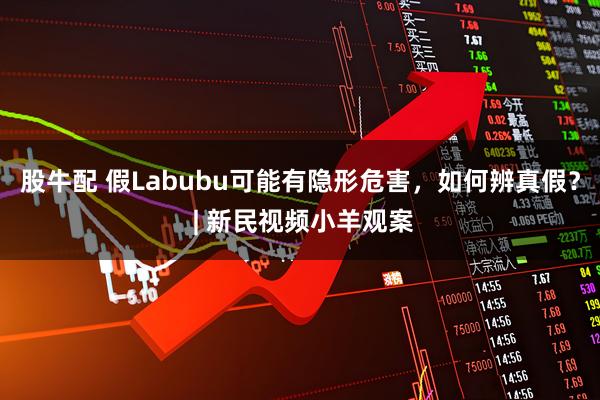 股牛配 假Labubu可能有隐形危害，如何辨真假？ | 新民视频小羊观案