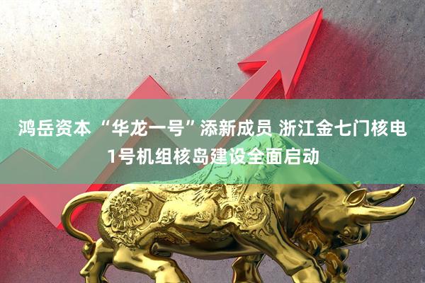 鸿岳资本 “华龙一号”添新成员 浙江金七门核电1号机组核岛建设全面启动