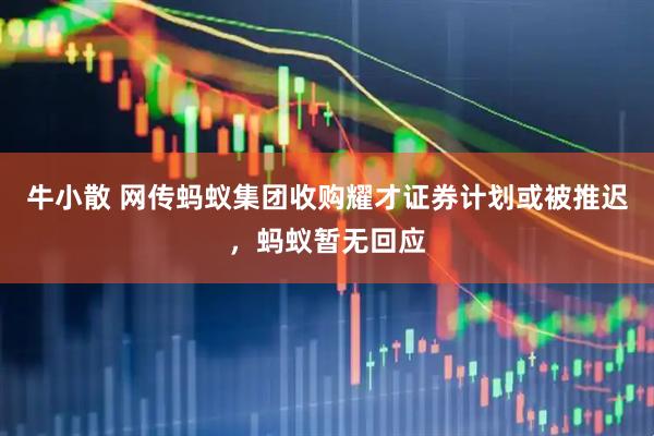 牛小散 网传蚂蚁集团收购耀才证券计划或被推迟，蚂蚁暂无回应