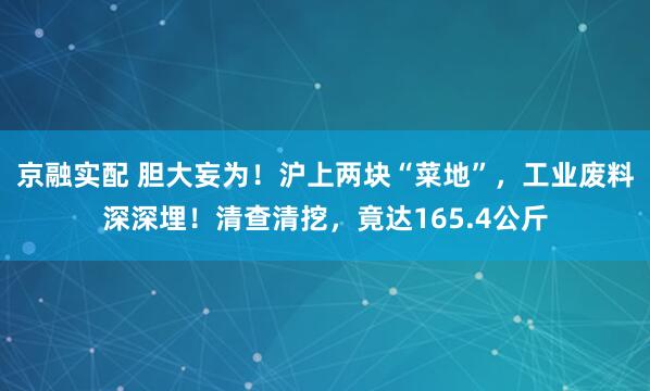 京融实配 胆大妄为！沪上两块“菜地”，工业废料深深埋！清查清挖，竟达165.4公斤